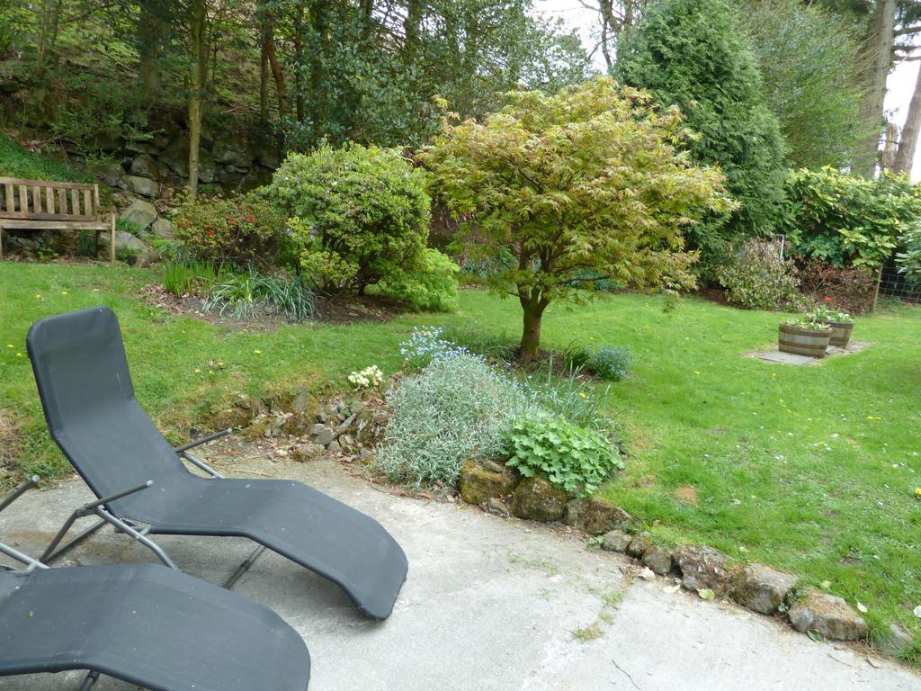 Bronfelin & Troed-Y-Rhiw Holiday Cottage Llanwrtyd Wells Extérieur photo