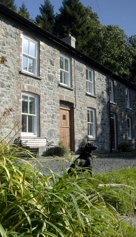Bronfelin & Troed-Y-Rhiw Holiday Cottage Llanwrtyd Wells Extérieur photo